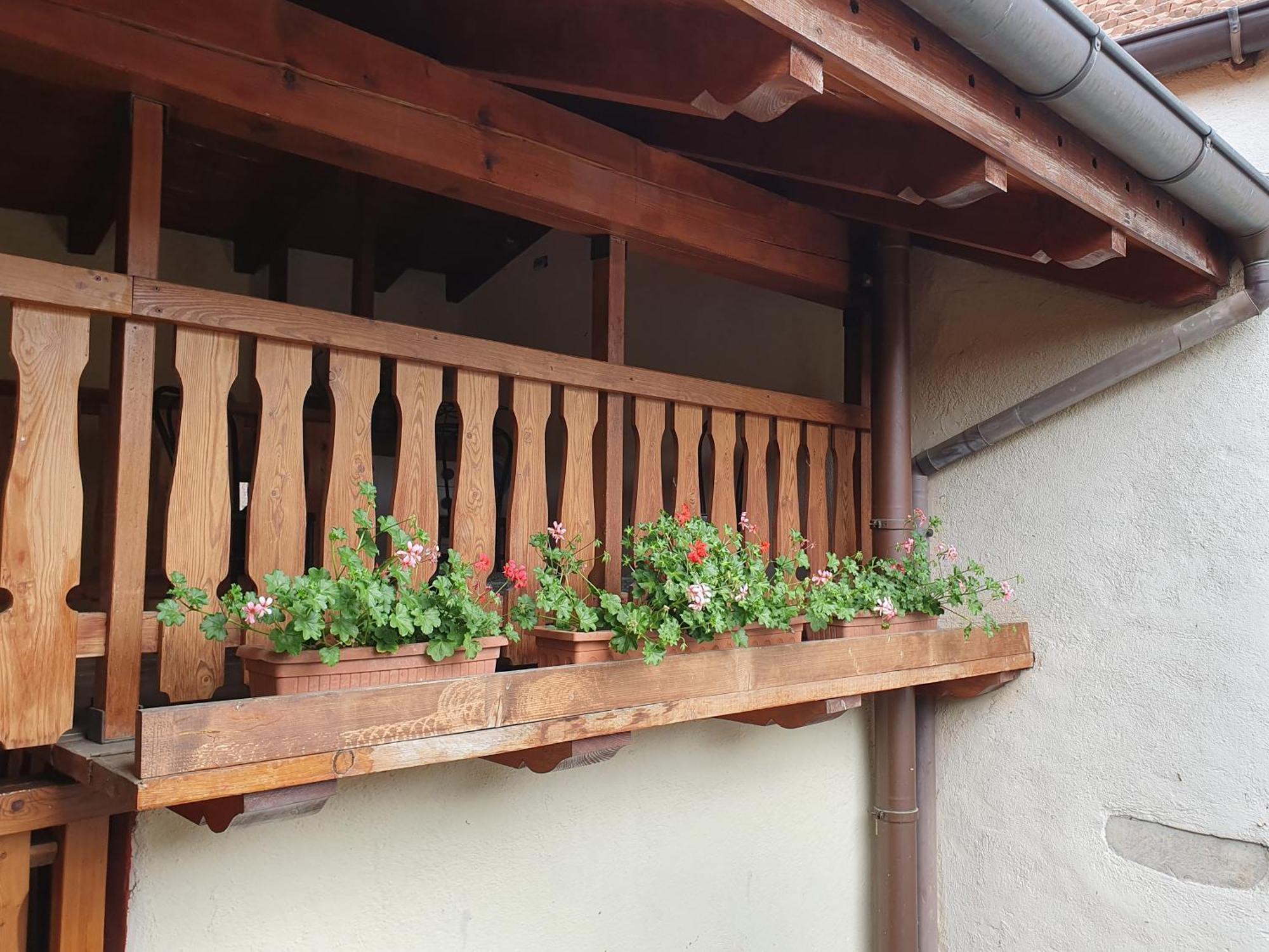 Appartamenti Vacanze E Camere Roccetta Fiorita Pettenasco Cameră foto